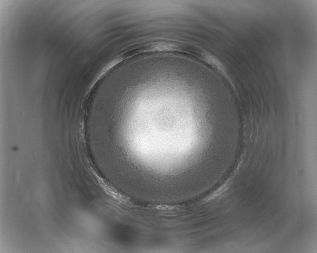 X0000064730827200602101147