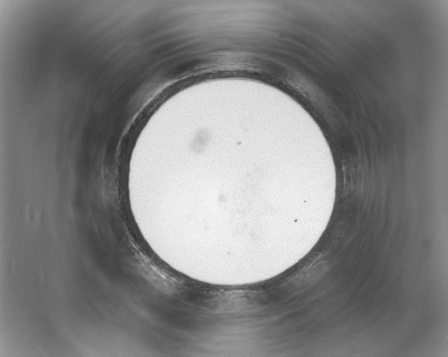 X0000064730828200602101147