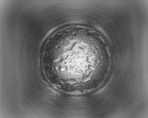 X0000064730829200602101147