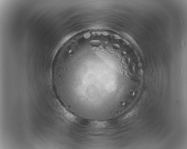 X0000064730831200602101147