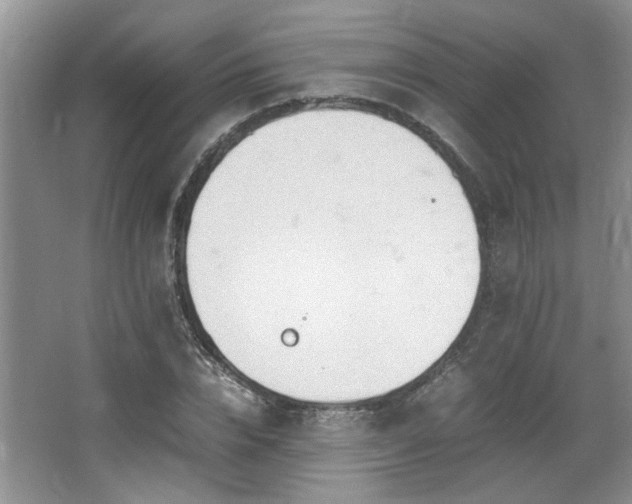 X0000064730832200602101147