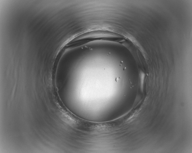 X0000064730834200602101147