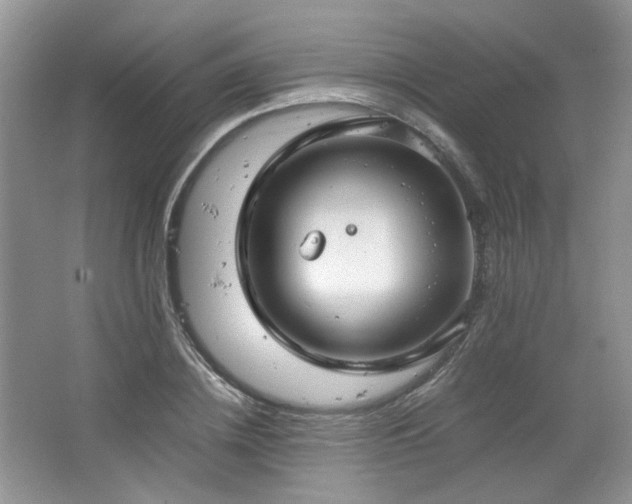 X0000064730836200602101148