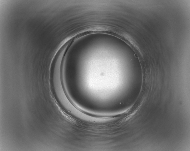 X0000064730837200602101148