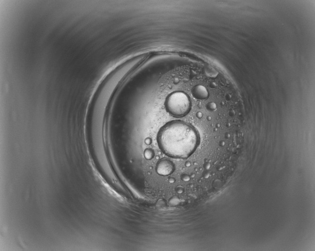 X0000064730839200602101148