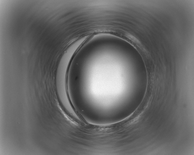 X0000064730841200602101148