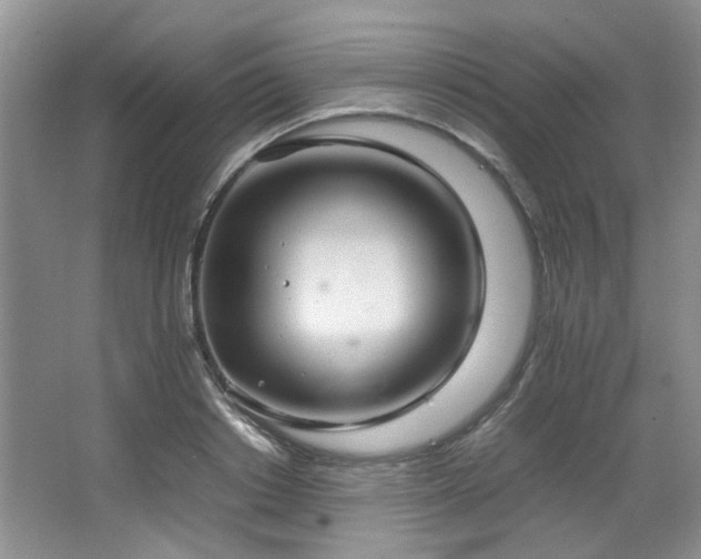 X0000064730842200602101148