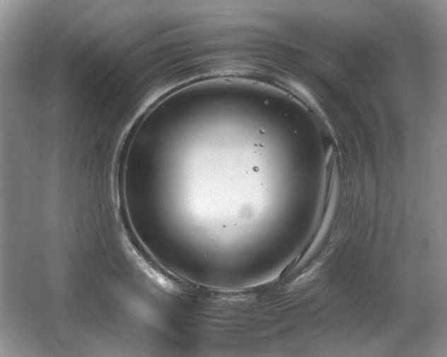 X0000064730843200602101148