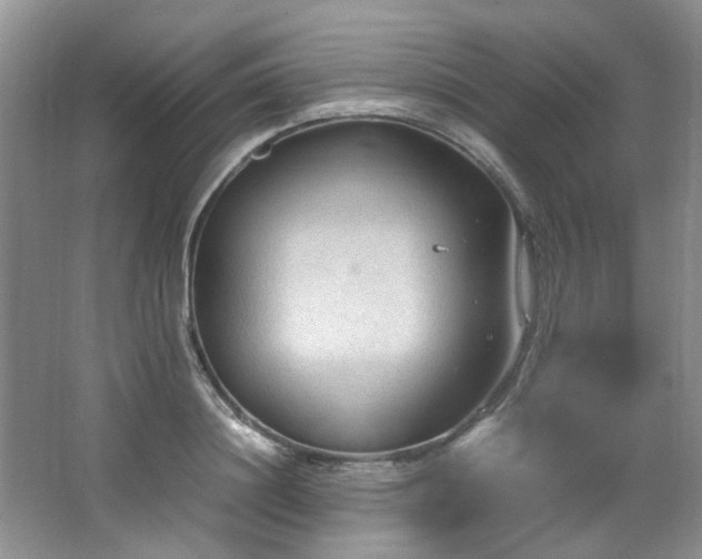 X0000064730844200602101148