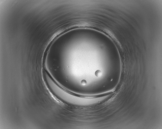 X0000064730845200602101148