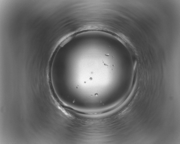 X0000064730846200602101148