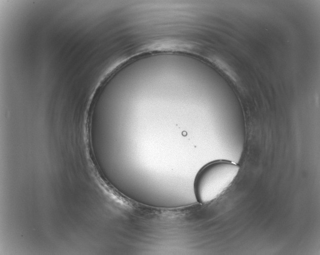 X0000064730848200602101148