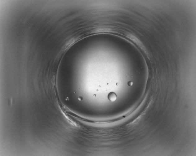 X0000064730849200602101148