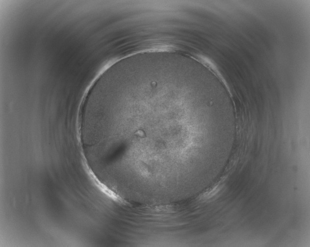 X0000064730851200602101148