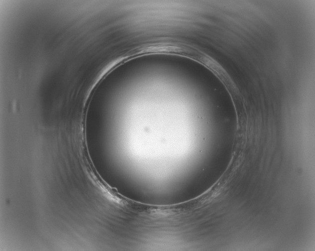 X0000064730852200602101148