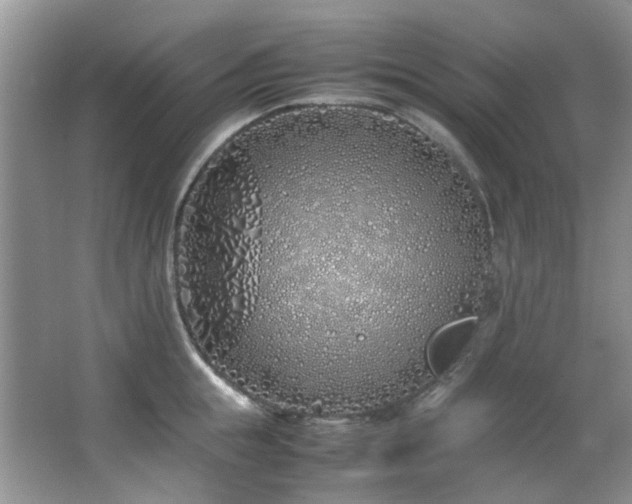 X0000064730855200602101148