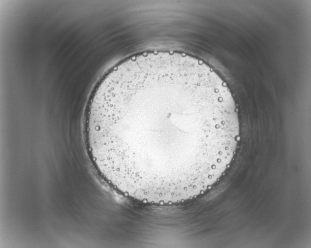 X0000064730856200602101148