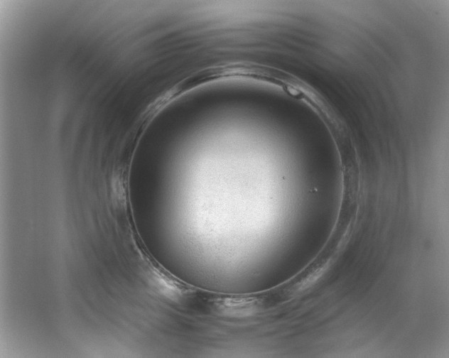 X0000064730857200602101148