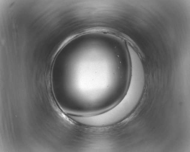 X0000064730860200602101148