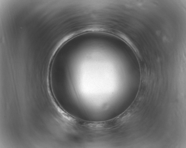 X0000064730861200602101148