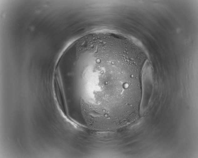 X0000064730863200602101148