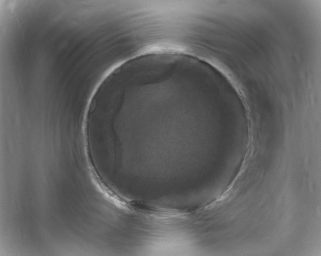 X0000064730864200602101148