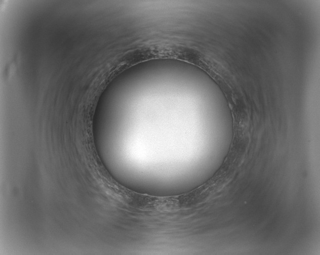 X0000064730865200602101147