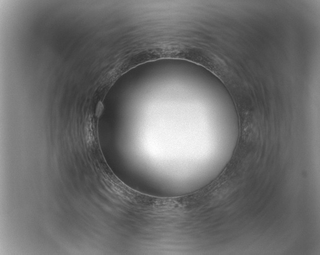 X0000064730866200602101147