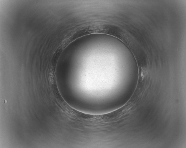 X0000064730867200602101147