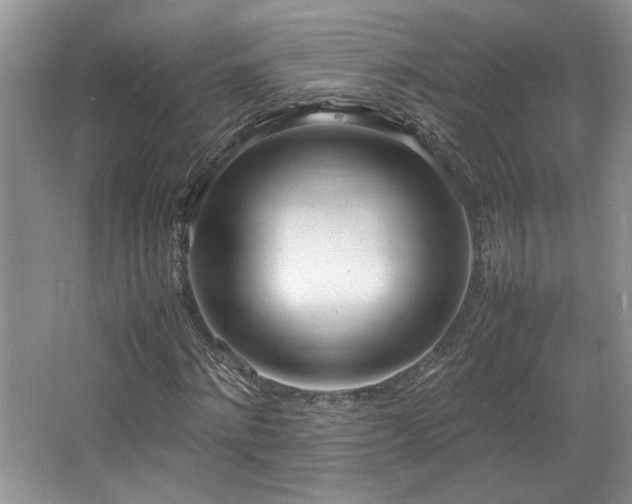 X0000064730868200602101147