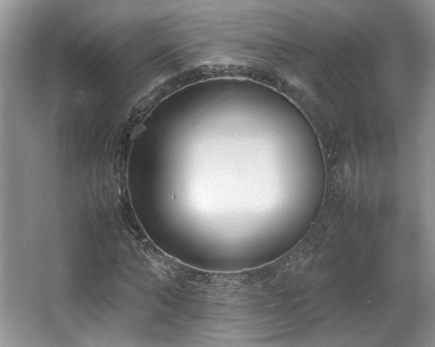 X0000064730870200602101147