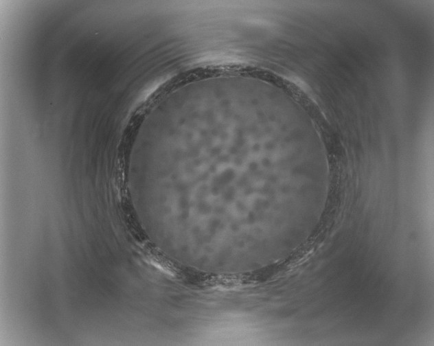 X0000064730871200602101147