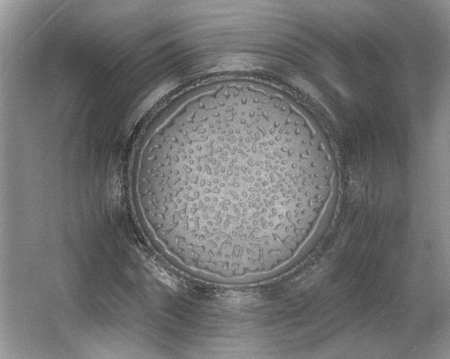 X0000064730874200602101147