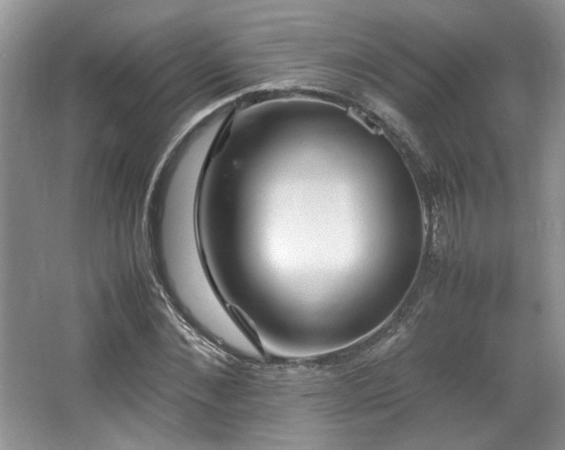 X0000064730876200602101147