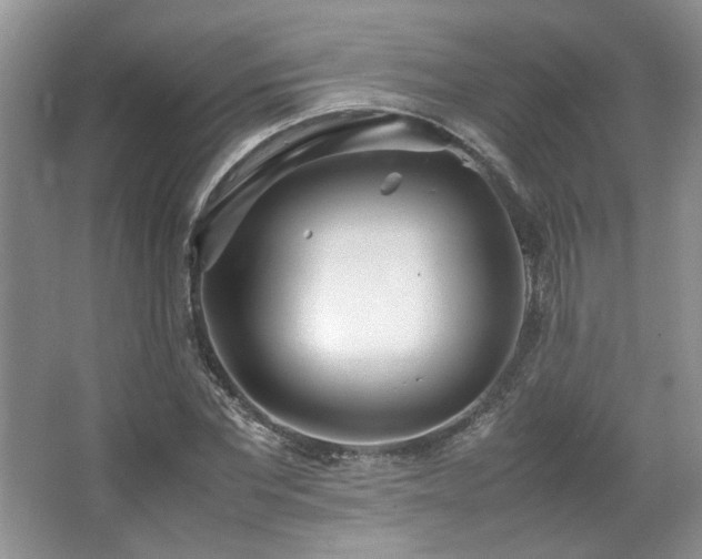 X0000064730877200602101147