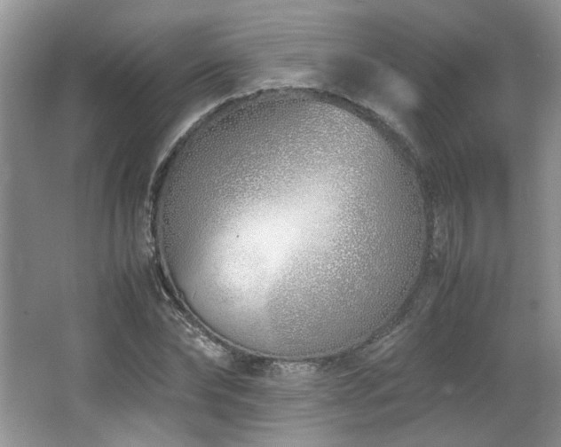 X0000064730878200602101147