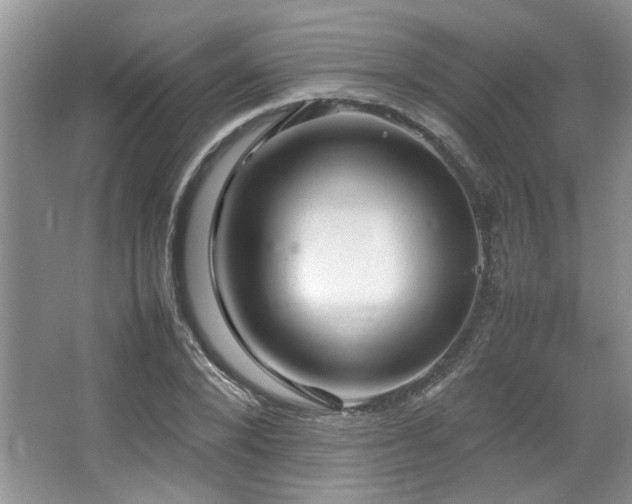 X0000064730880200602101147