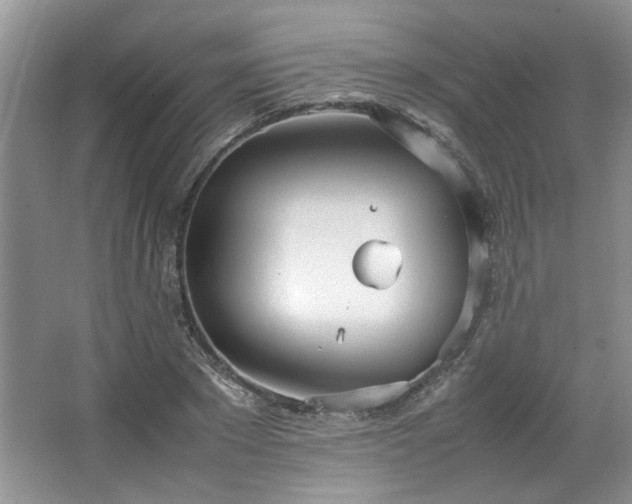 X0000064730881200602101147