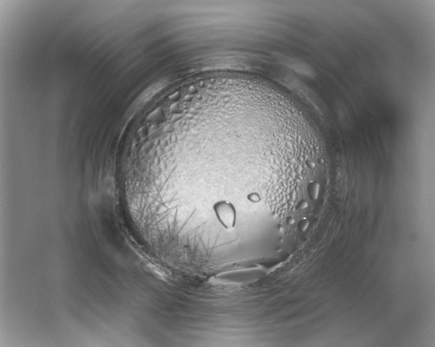 X0000064730882200602101147