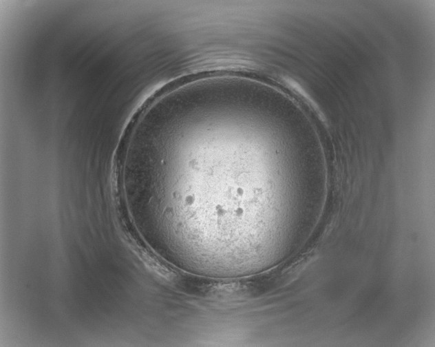 X0000064730883200602101147