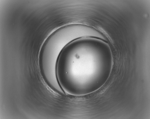 X0000064730884200602101147