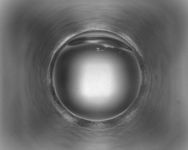 X0000064730885200602101147