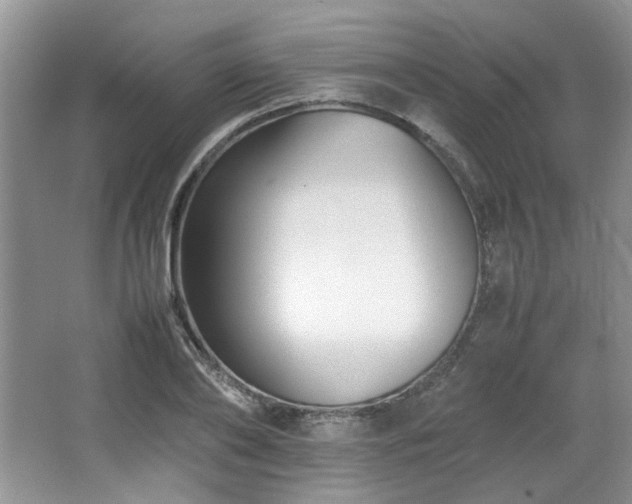 X0000064730886200602101147