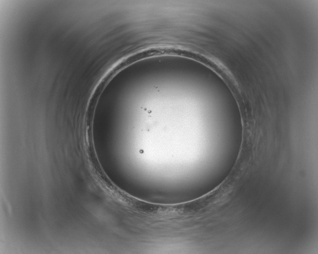 X0000064730887200602101147