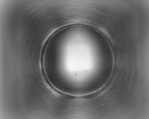 X0000064730888200602101147