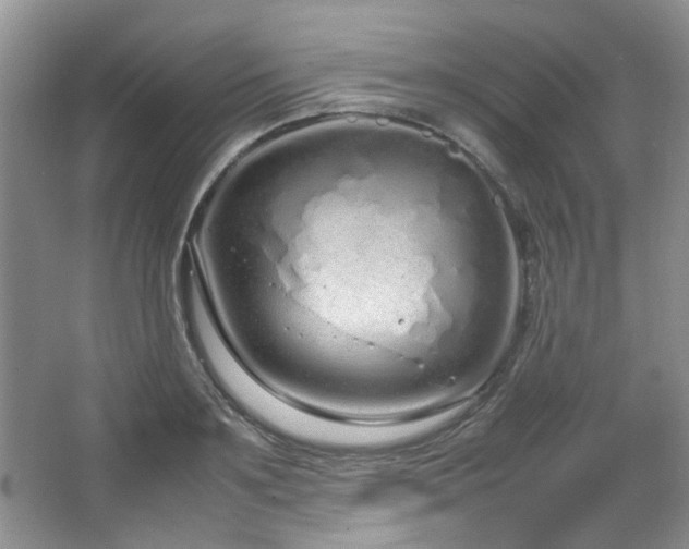 X0000064730891200602101147