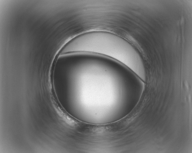 X0000064730892200602101147