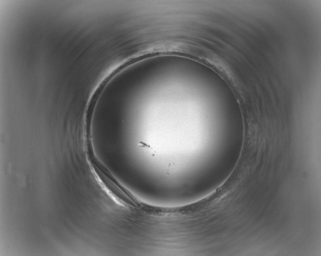 X0000064730894200602101147