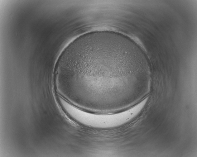 X0000064730895200602101147