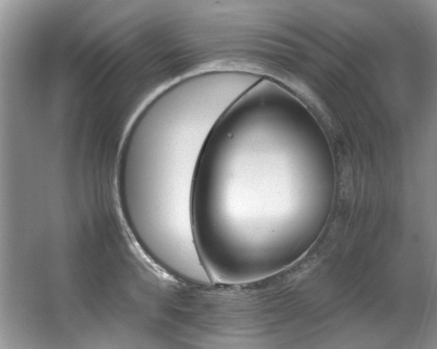 X0000064730896200602101147